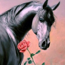Схема вышивки «Лошадь и роза»
