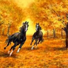 Схема вышивки «На воле»