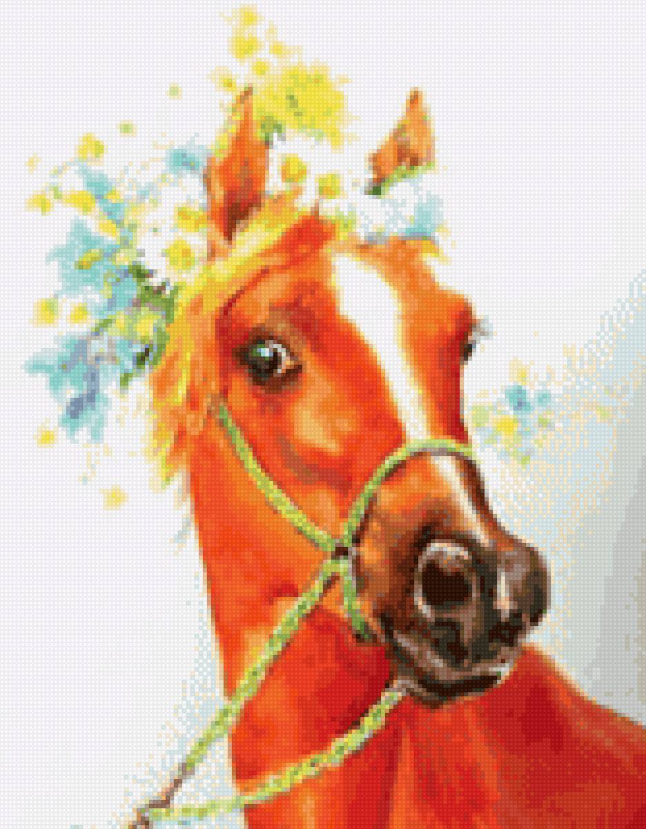 Красавица - миф, лошади - предпросмотр