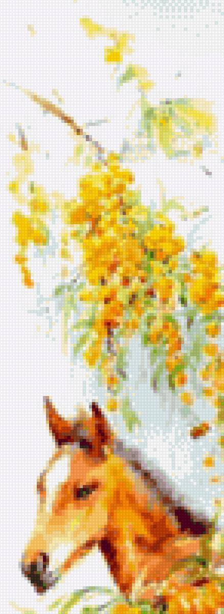 Жеребенок - миф, лошади - предпросмотр