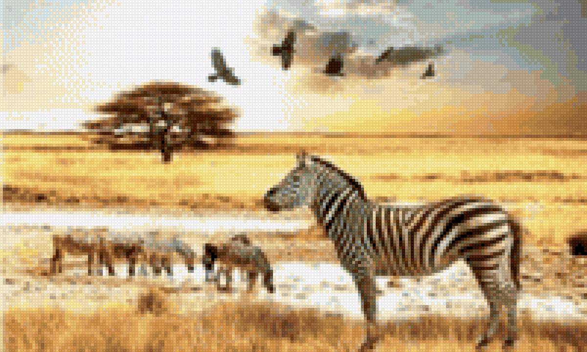 Африка - миф, лошади - предпросмотр