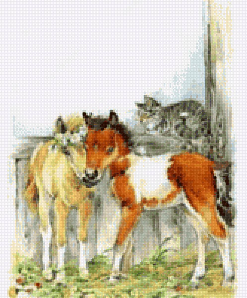 Жеребята - лошади, миф - предпросмотр