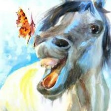 Лошадь и бабочка