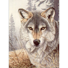 Схема вышивки «волк»