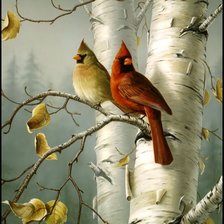 Схема вышивки «amarillo y rojo»