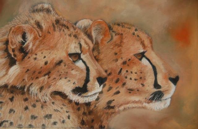 Семейство гепардов - семья, гепарды, дикие кошки - оригинал