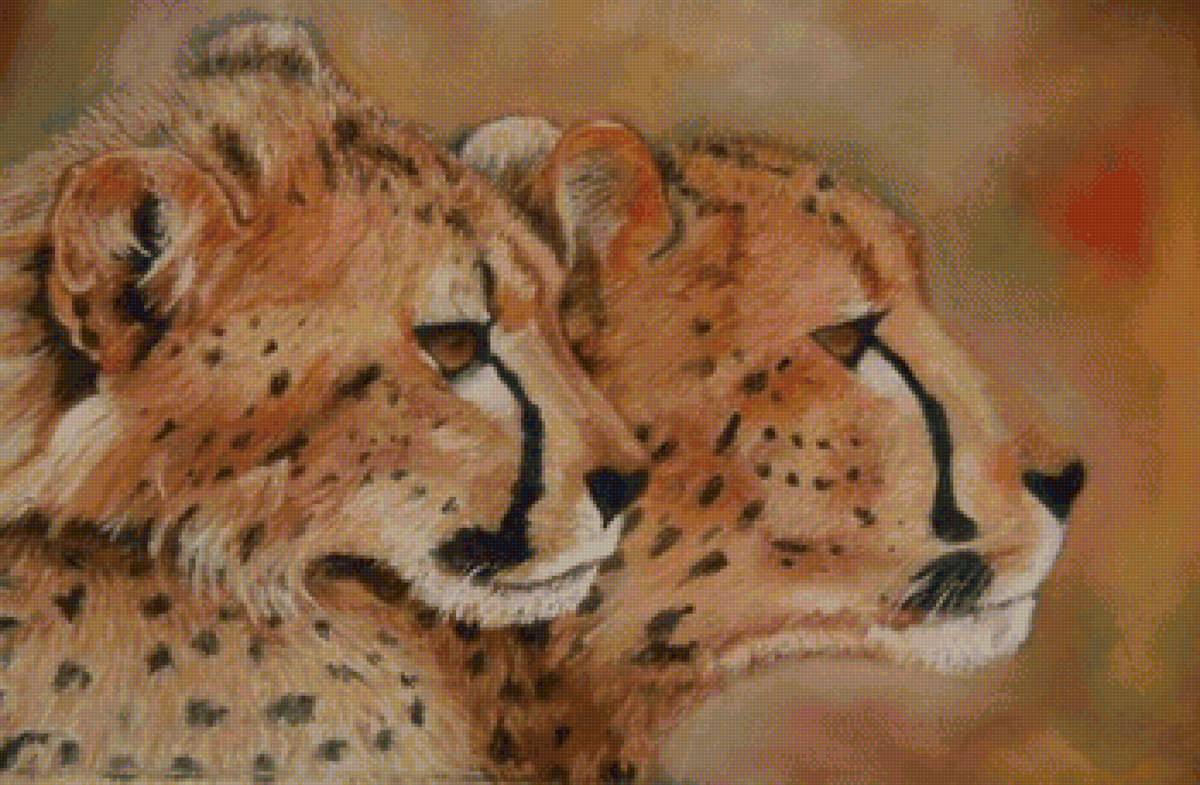 Семейство гепардов - гепарды, семья, дикие кошки - предпросмотр