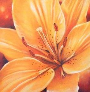 Лилия оранжевая - подушка, лилия, цветы - оригинал