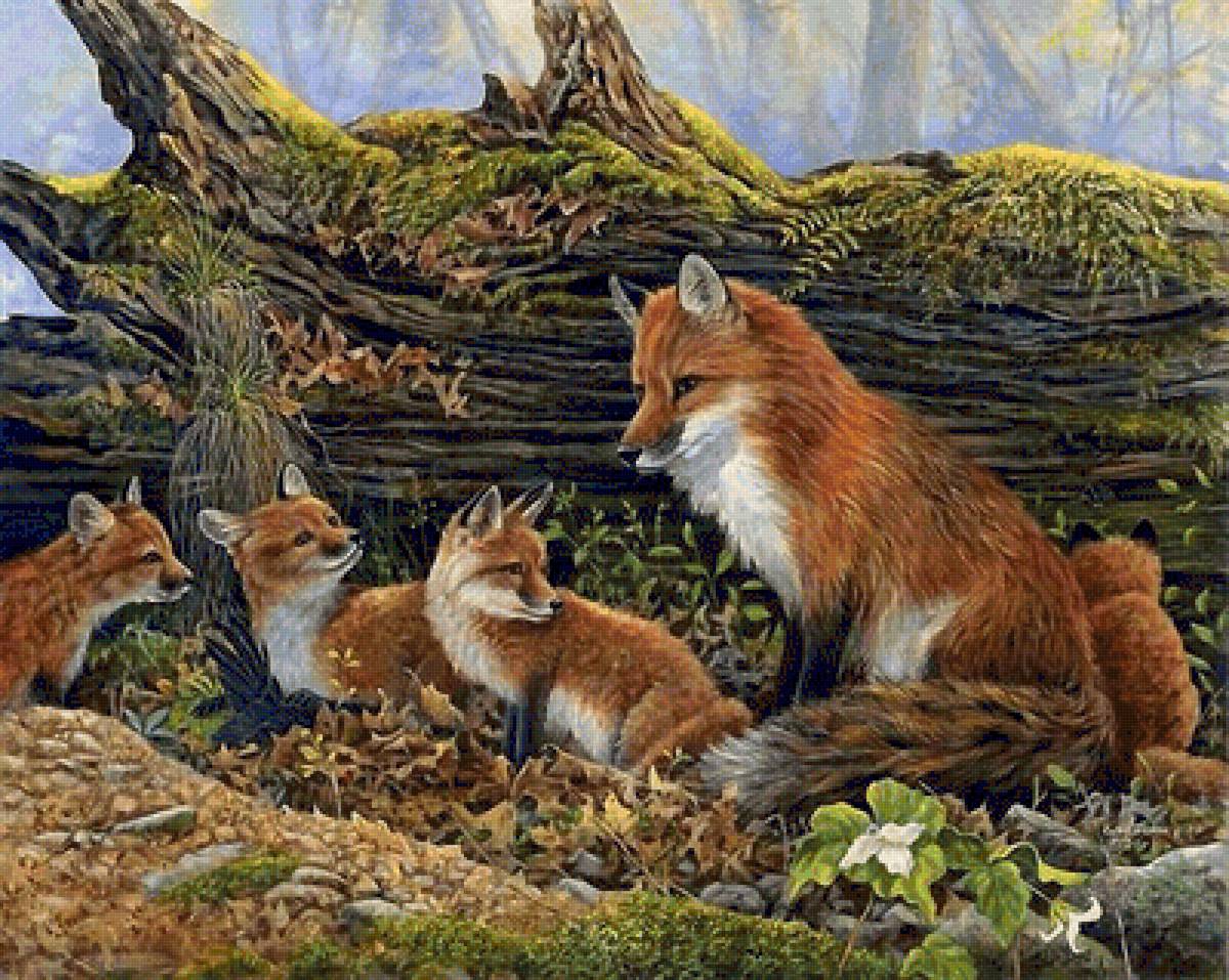 Лисье семейка - предпросмотр