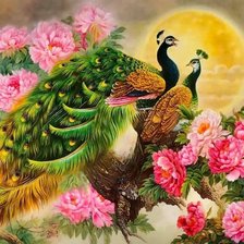 Схема вышивки «№2391213»