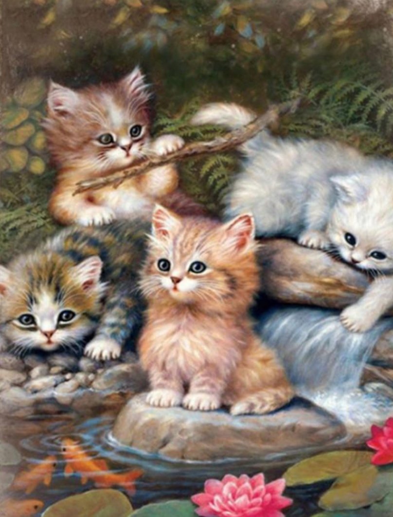 Котята - водоем, рыбы, игра, котята, кувшинки, трава - оригинал