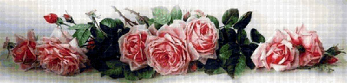 РОЗЫ - предпросмотр