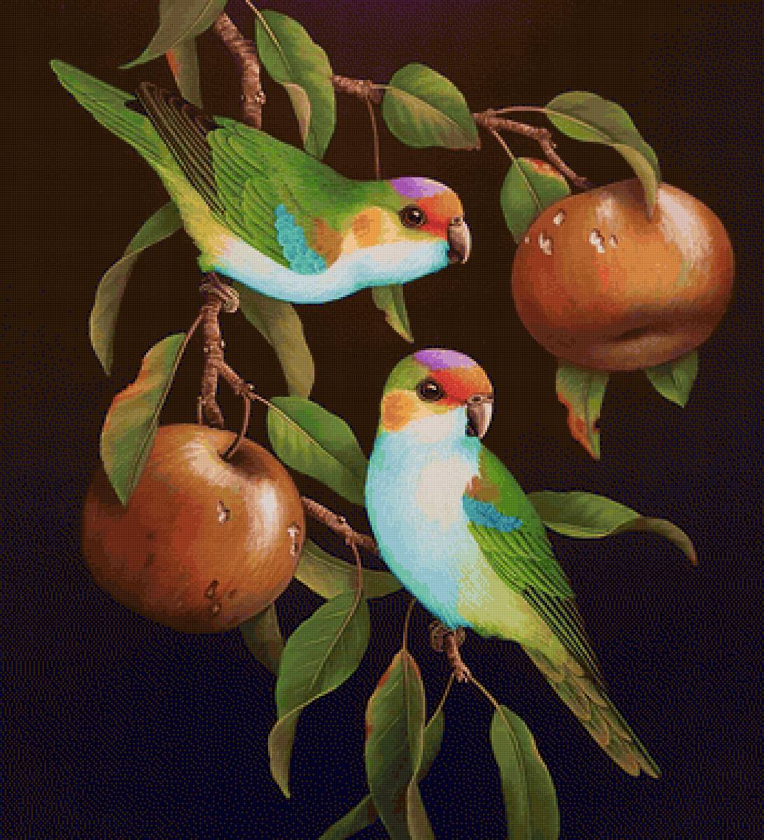 Pássaros . - pássaros .frutas. - предпросмотр