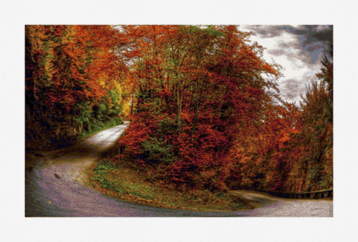 Осенний Лес - осень, лес, дорога - предпросмотр