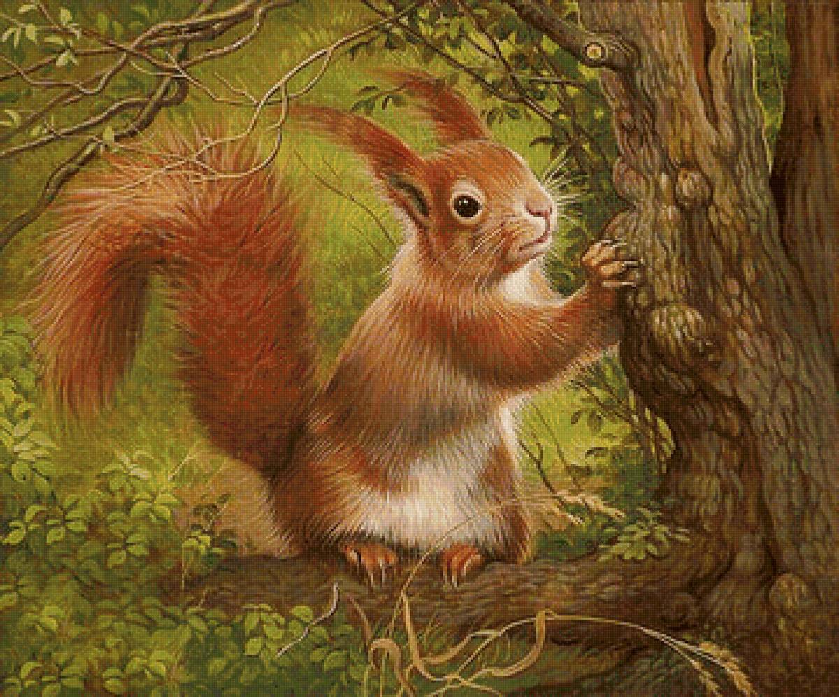 Белочка - лес, животные, белка - предпросмотр