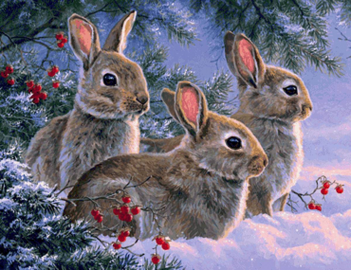 зайцы зимой - зайцы, зима - предпросмотр