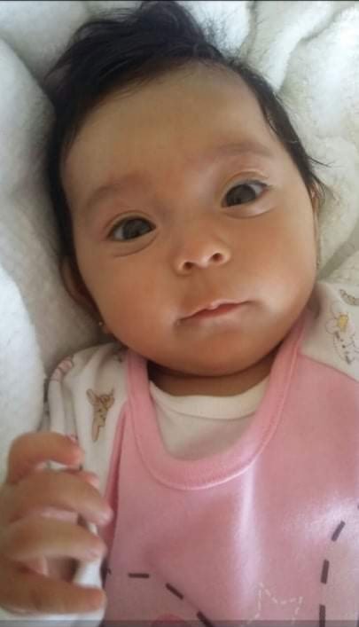 Personal - mariposas - оригинал