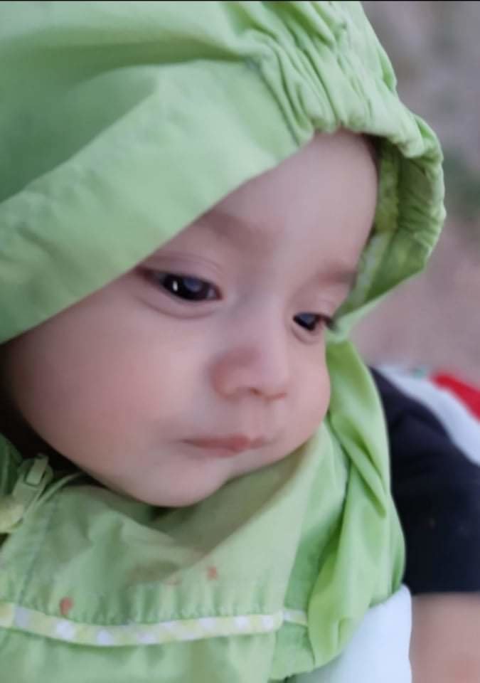 Familia - mariposas - оригинал