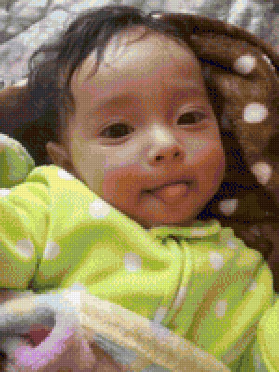 Familia - mariposas - предпросмотр