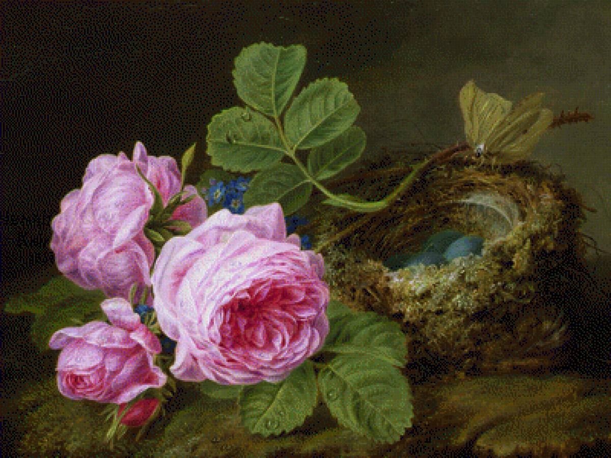 Rosa - предпросмотр