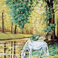 Белая лошадь