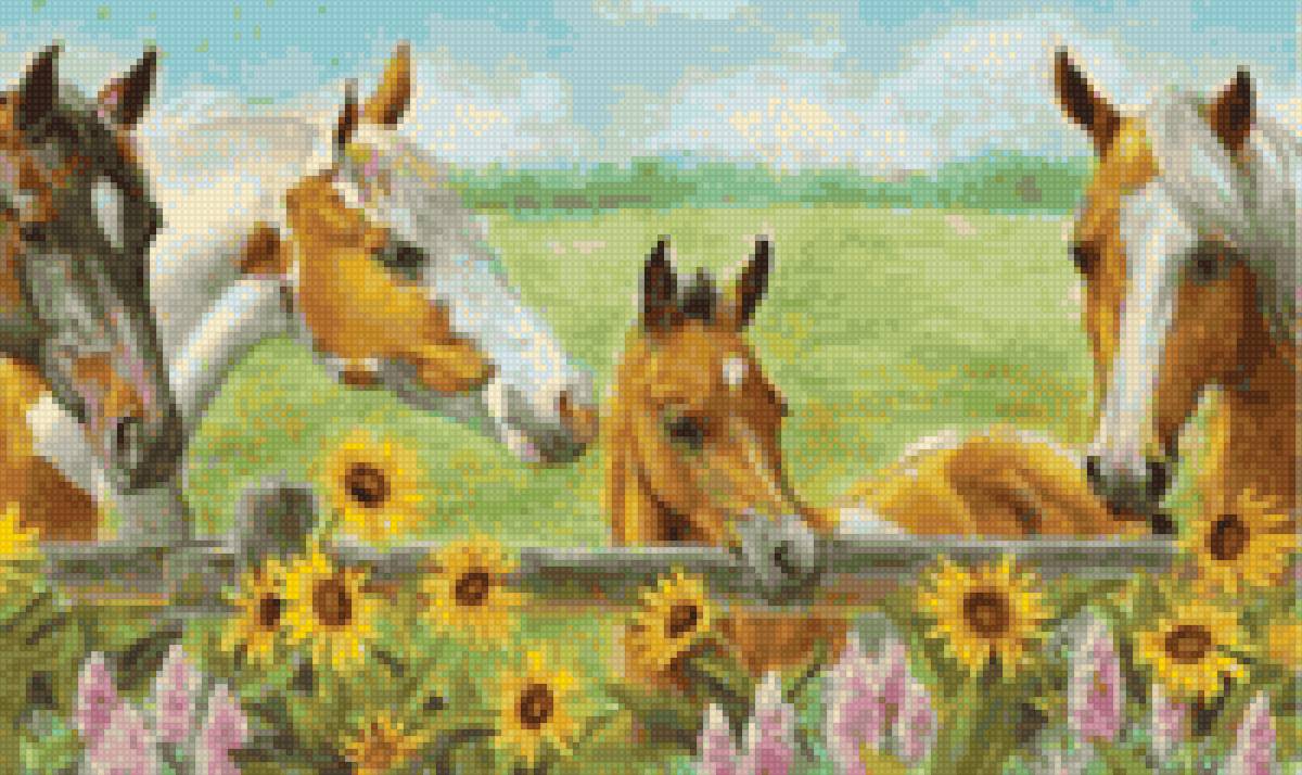 Семья - миф, лошади - предпросмотр