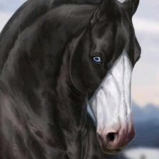 Схема вышивки «Конь»