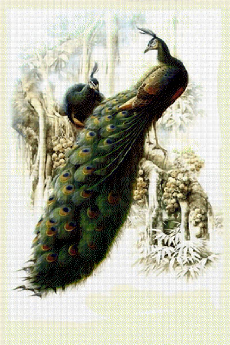 Kartina - предпросмотр