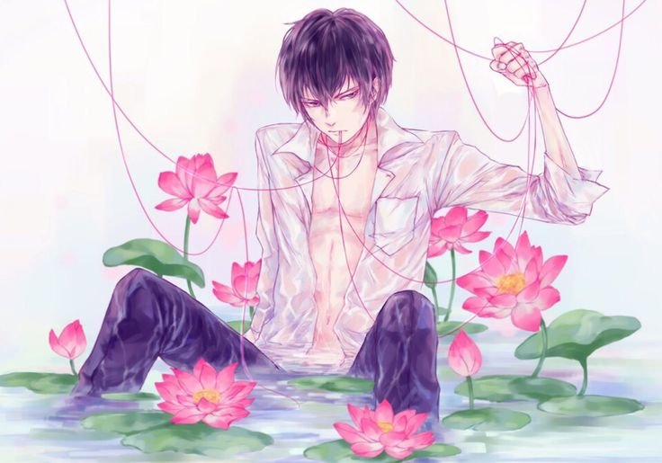 Хибари Кёя - kyouya hibari, katekyo hitman reborn! аниме - оригинал