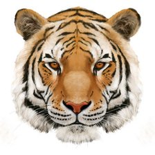 Схема вышивки «№2393974»