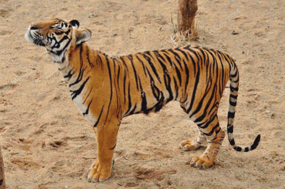 №2394023 - предпросмотр