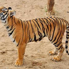 Схема вышивки «№2394023»