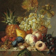 Схема вышивки «215»