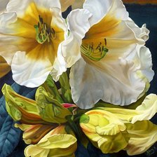 Схема вышивки «Лилейник джентл шепперд»