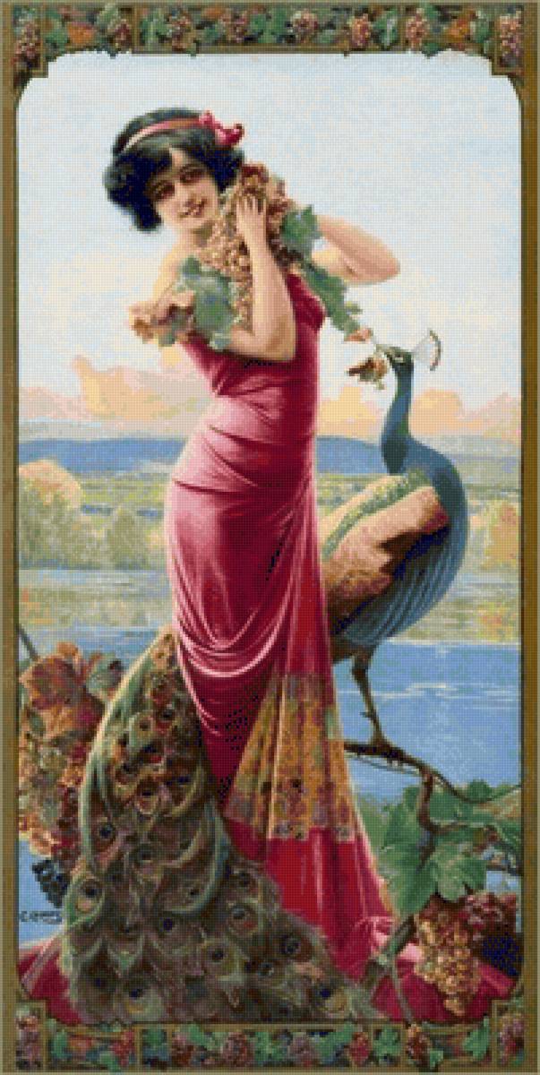 cordia medok - предпросмотр