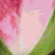 Предпросмотр схемы вышивки «Роза кустовая» (№2395200)