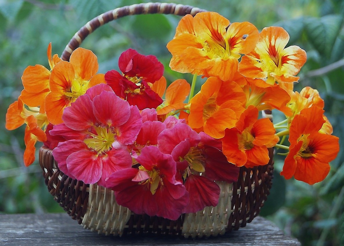 №2395307 - оригинал