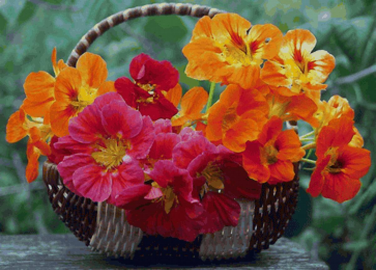 №2395307 - предпросмотр