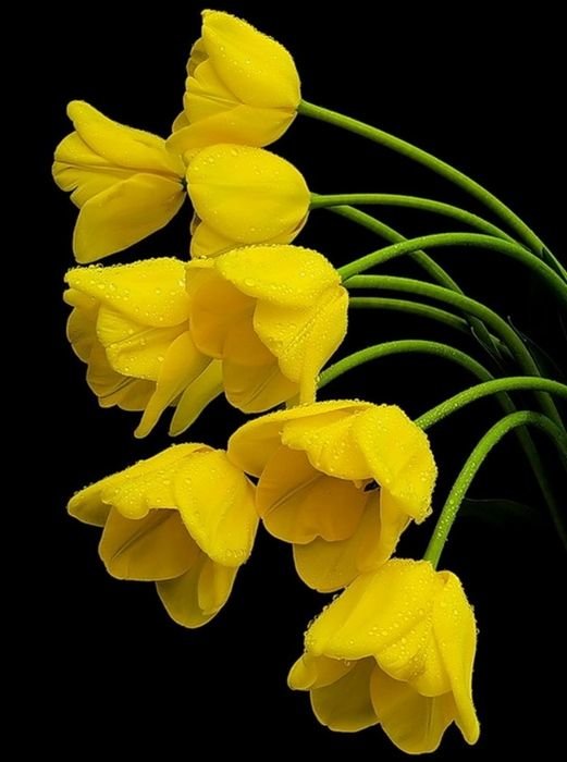 №2395351 - оригинал