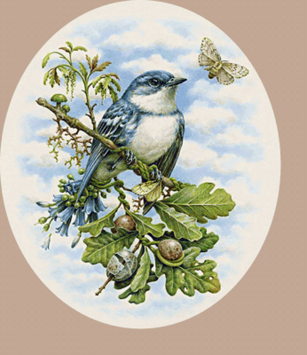 Серия "Птицы". - ветка, птица, желуди - предпросмотр