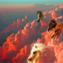 Небесные лошади