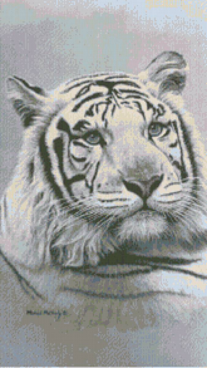 White tiger - предпросмотр