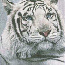 Схема вышивки «White tiger»