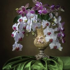 Оригинал схемы вышивки «Орхидея» (№2396796)