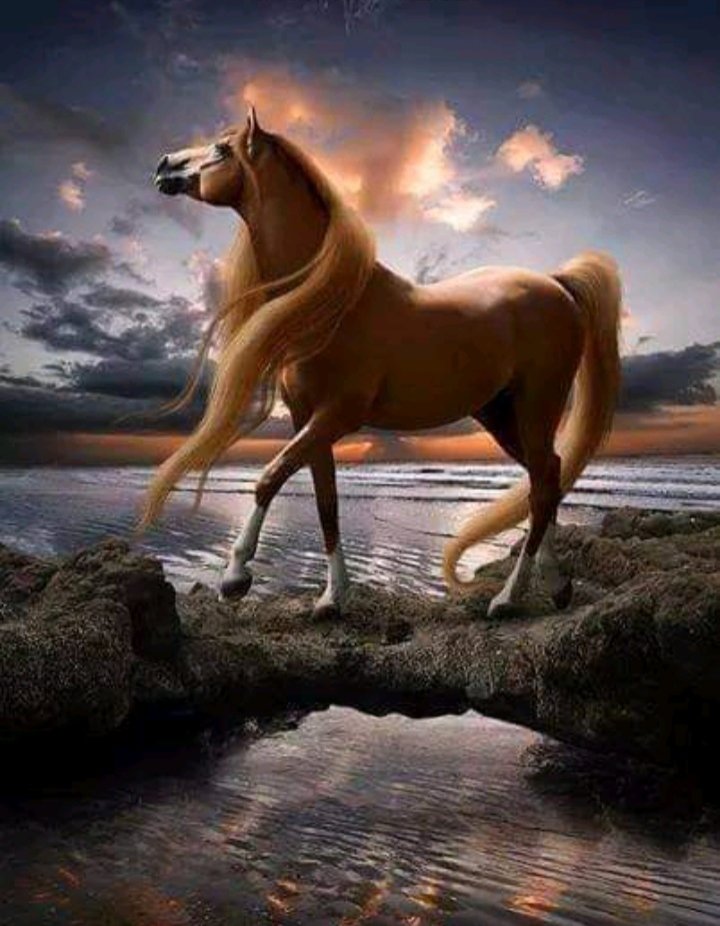 У моря - миф, лошади - оригинал