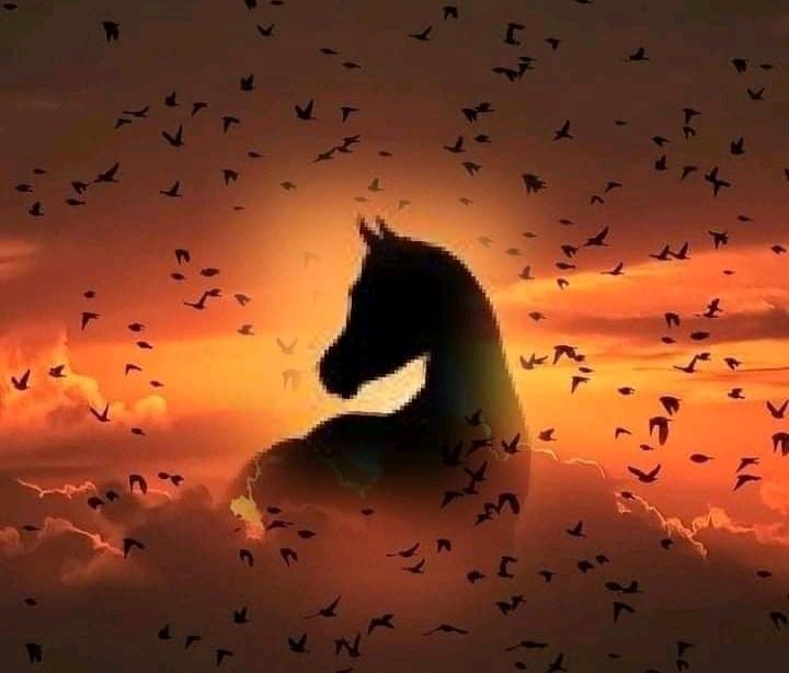 На закате - миф, лошади - оригинал