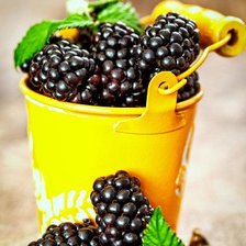 Схема вышивки «№2397208»