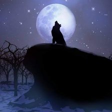 Схема вышивки «Одинокий волк»