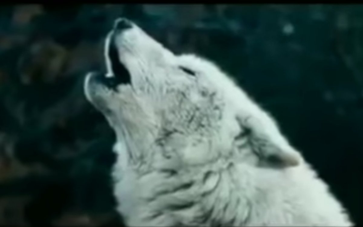 Одиночество - оригинал