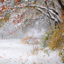 Схема вышивки «Paisagens de inverno.»